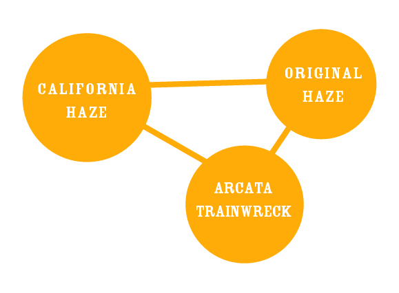 California Haze Parentals: orange haze and arcata trainwreck chart