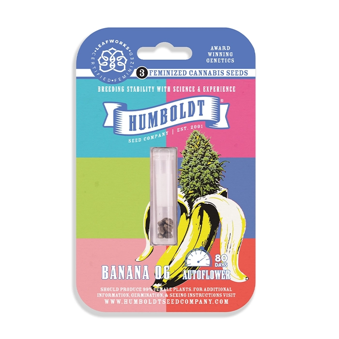 Banana OG Autoflower