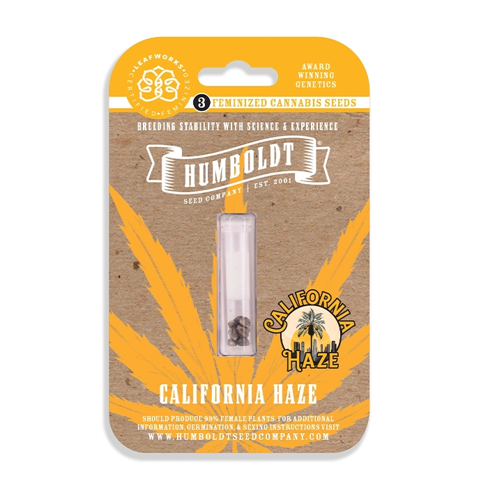 California Haze