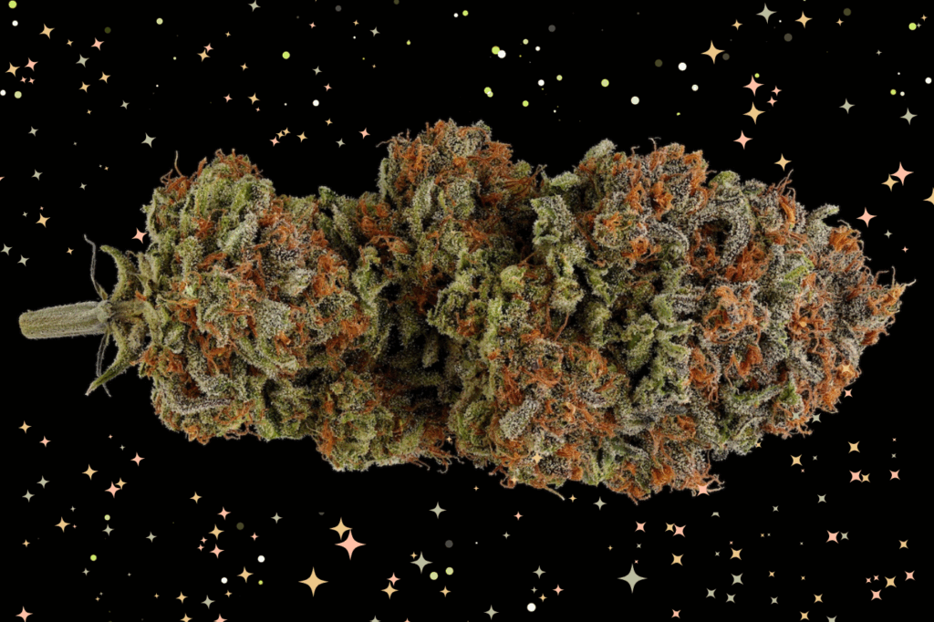 sparkling clean cannabis bud