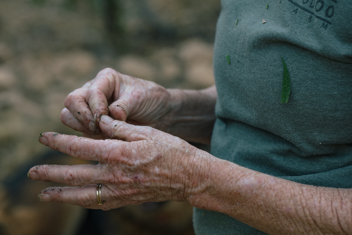 vuile handen en een gouden trouwring op een cannabisplantage