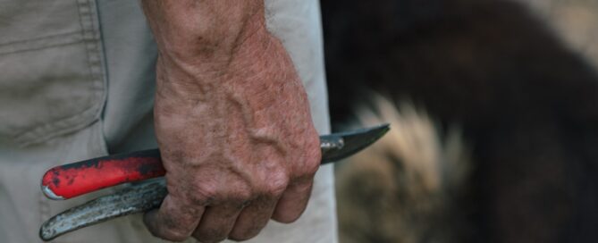 man holding harvesting shears on cannabis garden for how to harvest weed