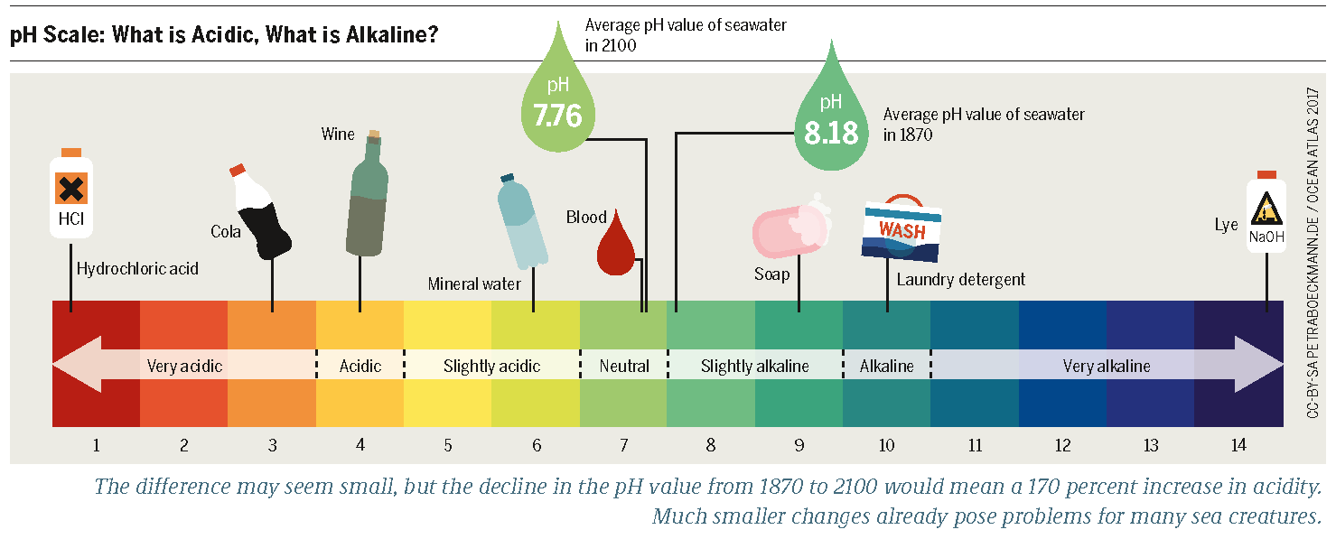 cannabis scale showing examples of household products for reference of pH value