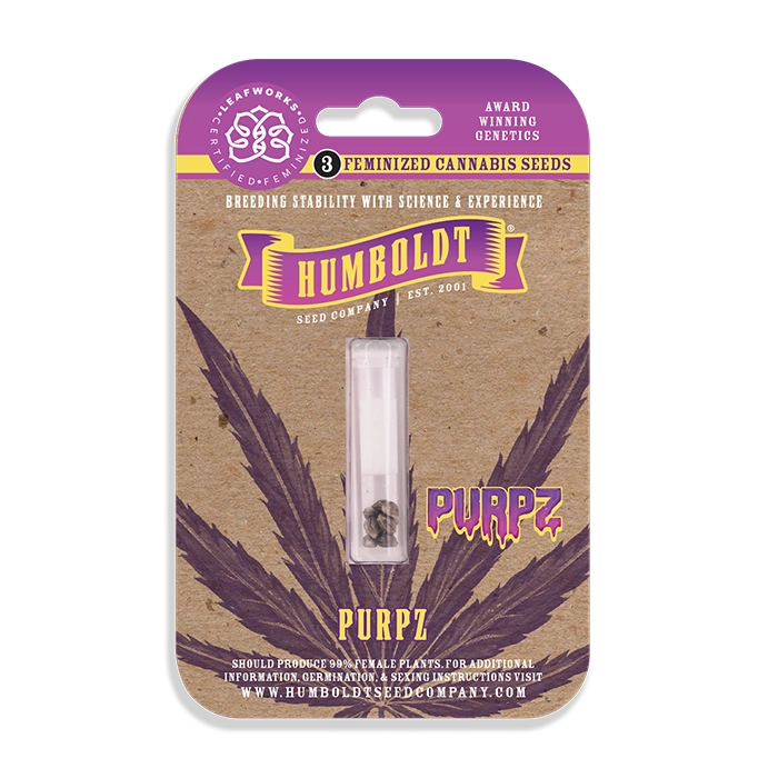 Purpz Feminized Seeds