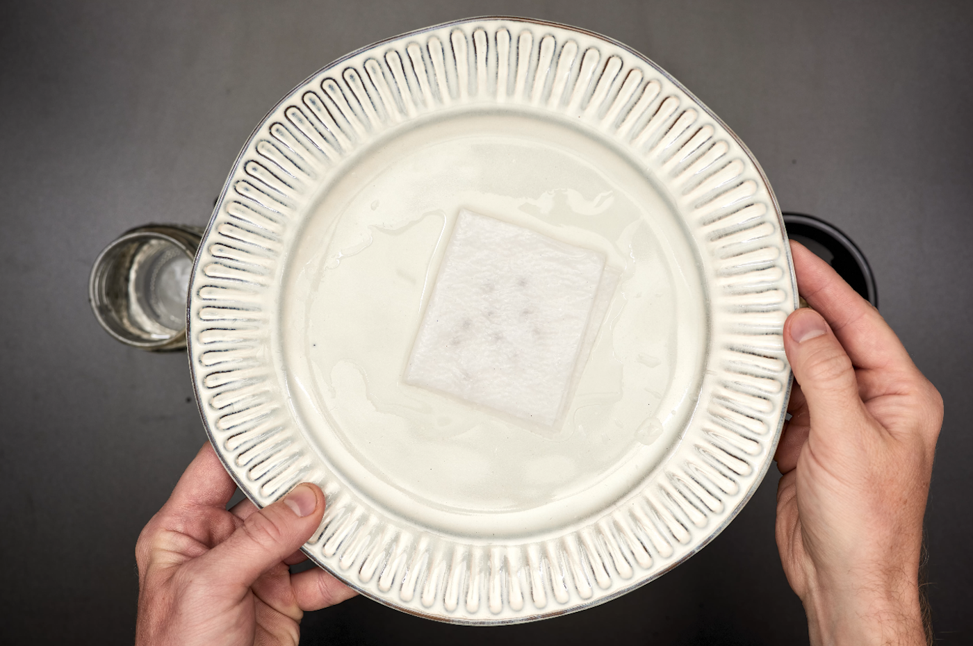 man holding plate with wet paper towel and cannabis seeds for germination showing how much water to use