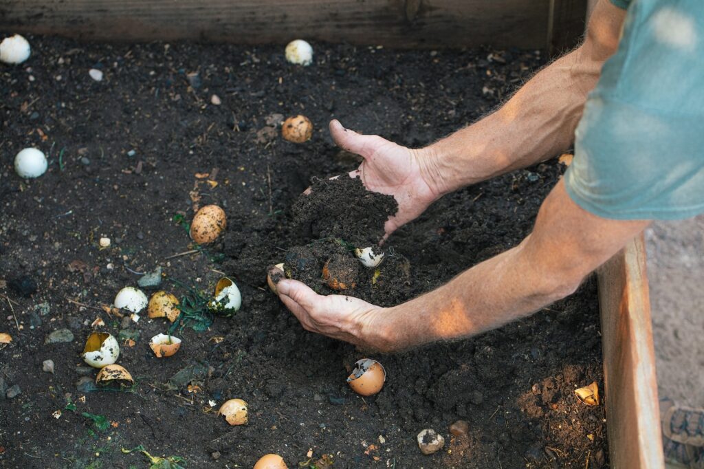 man's hands digging into living spoil with amendments including egg shells