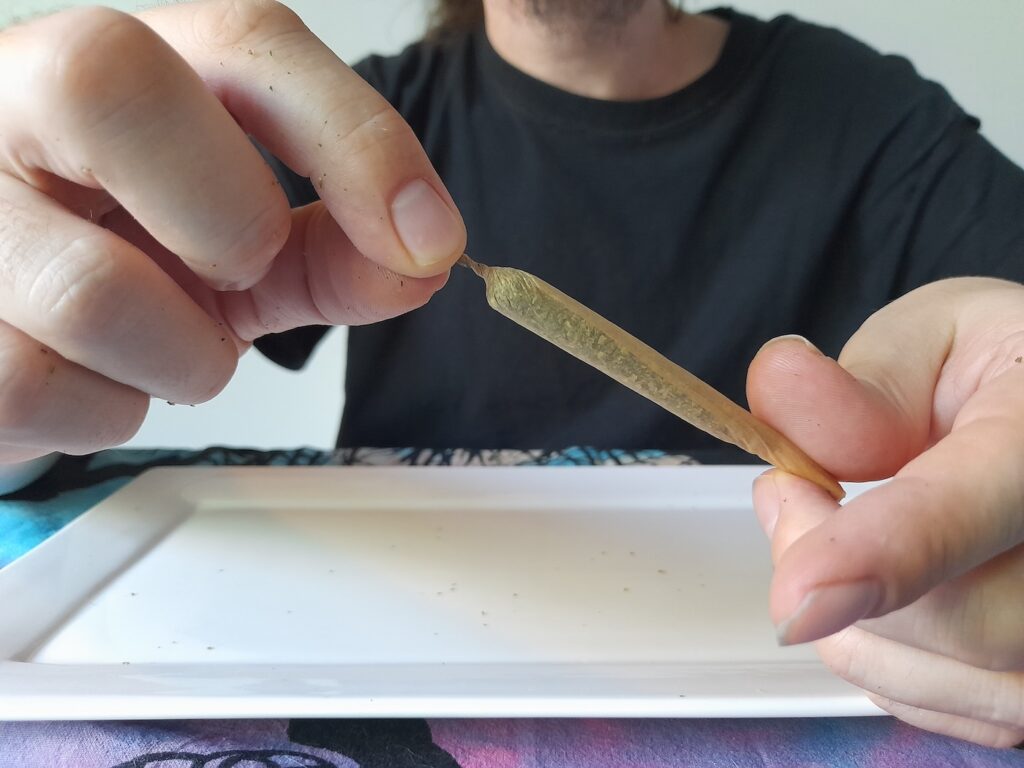 Wie Baut Man Einen Joint Mit Hasch Wie man einen Joint dreht - Cannabis-Samen | Humboldt Seed Company