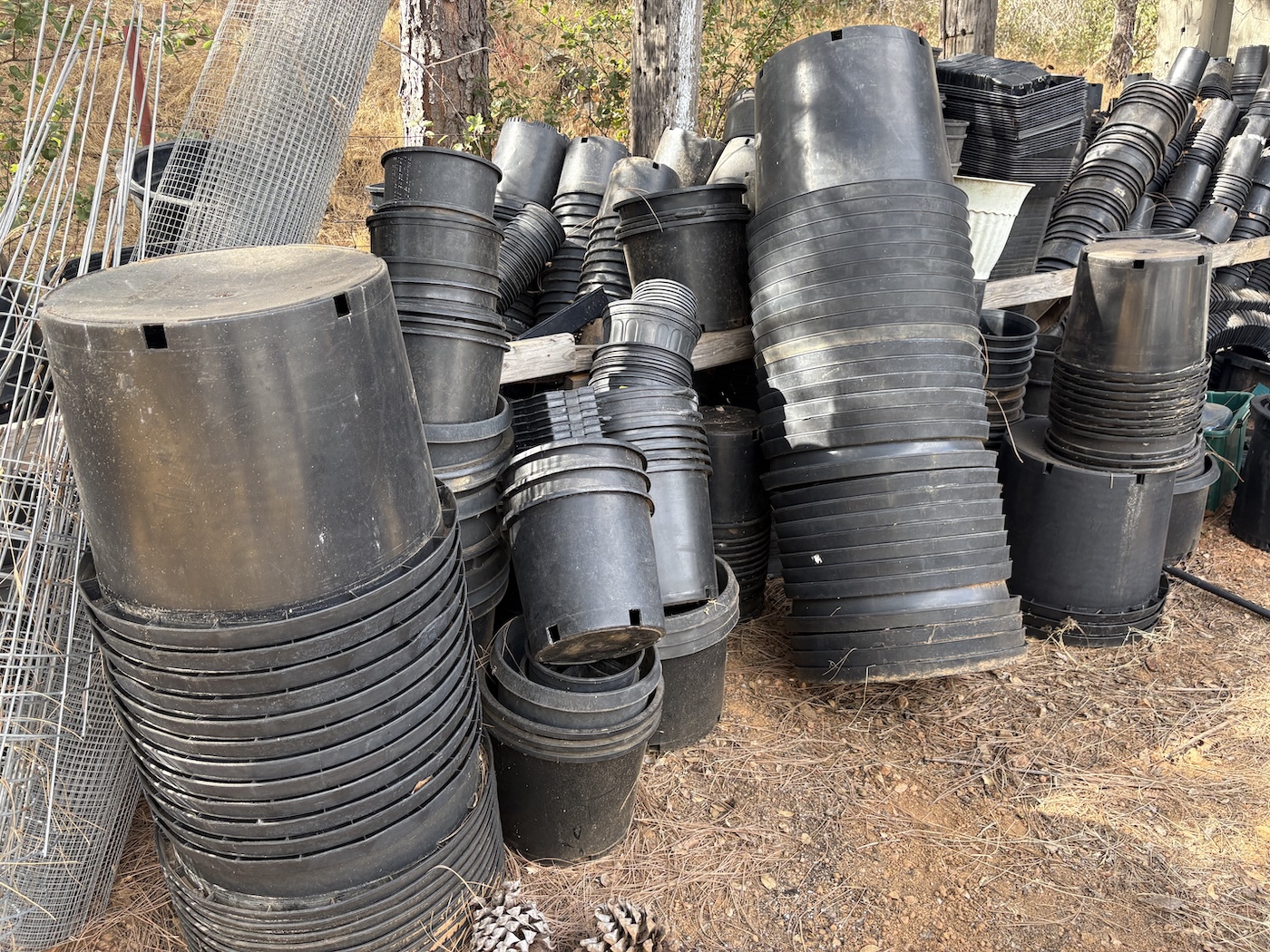 large stacks of black grow containers or bins for outdoor and indoor cannabis grows
