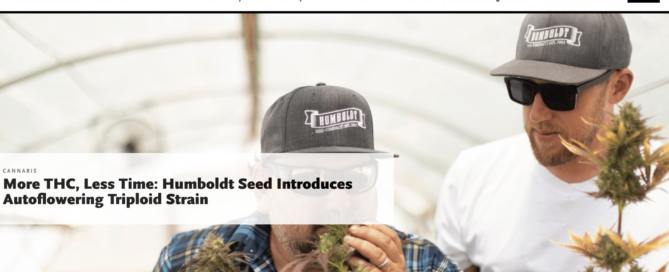 el planto cannabis magazine press coverage
