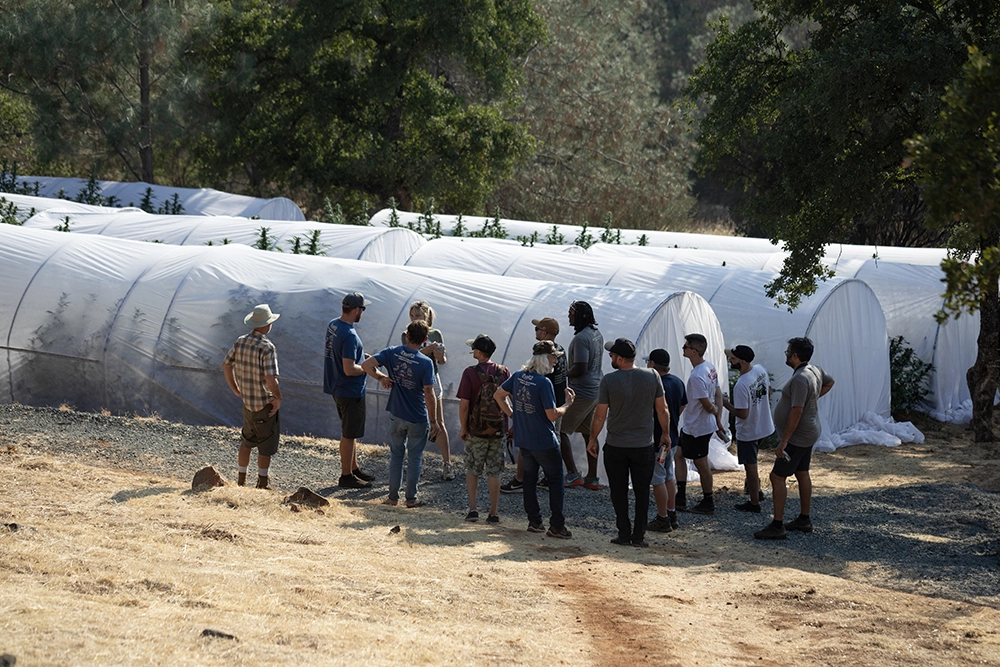 group of people meeting in front of hoop greenhouse cannabis farm