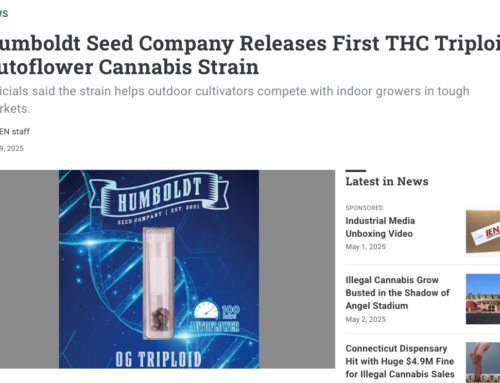 Humboldt Seed Company Releases First THC Triploid Autoflower Cannabis Strain