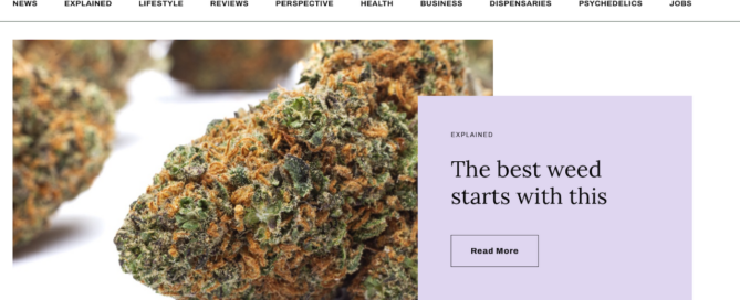 greenstate magazine news about cannabis seeds with the picture of a weed nug