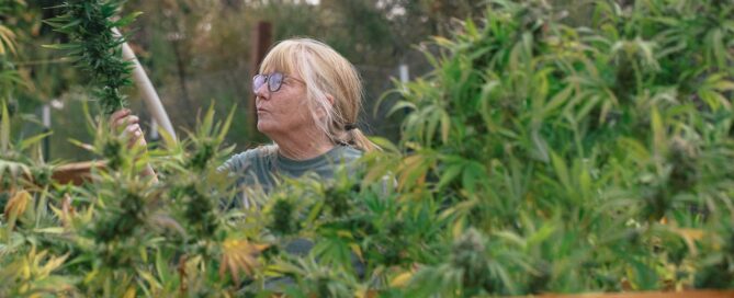 Mom in the cannabis garden examining her plants at Foodoo Farms