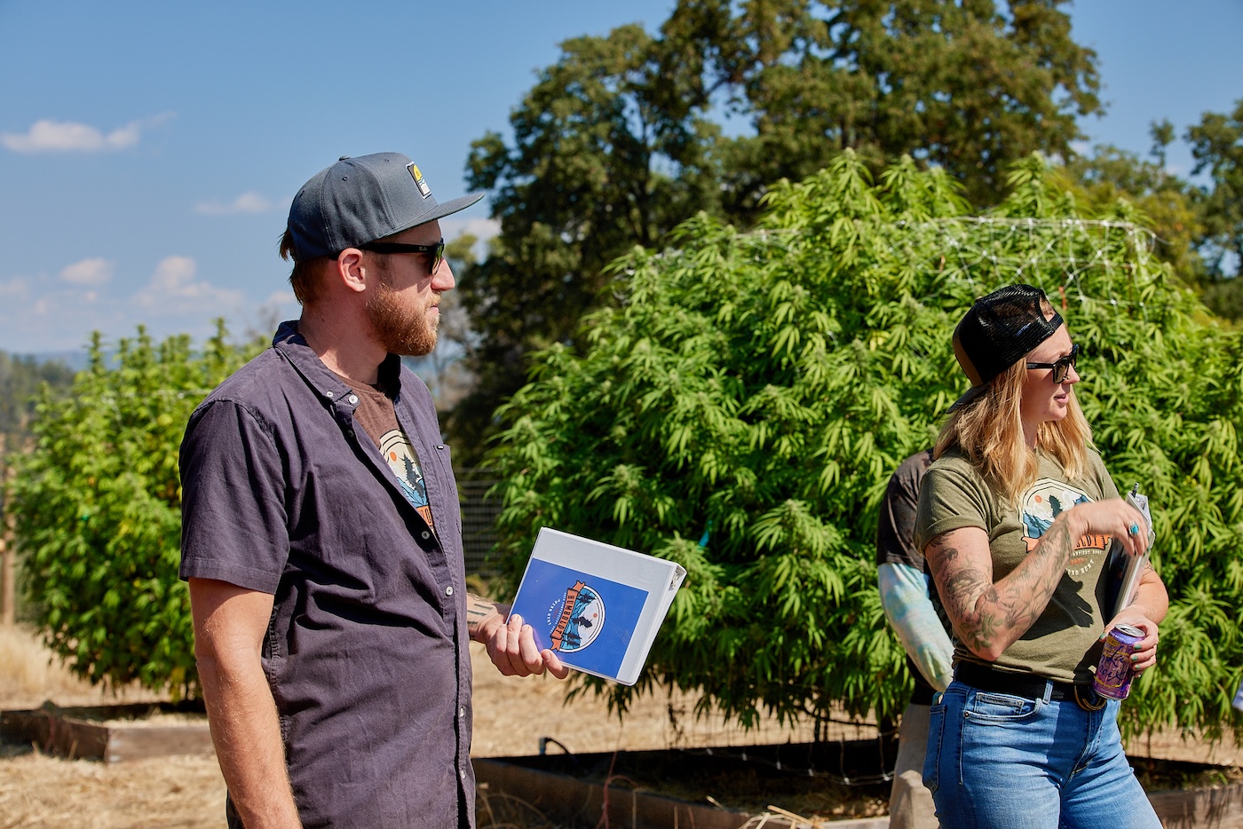 cannabis breeder with notebook and woman with hat standing in front of massive cannabis plant on pheno hunt