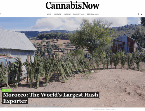 Morocco: The World’s Largest Hash Exporter