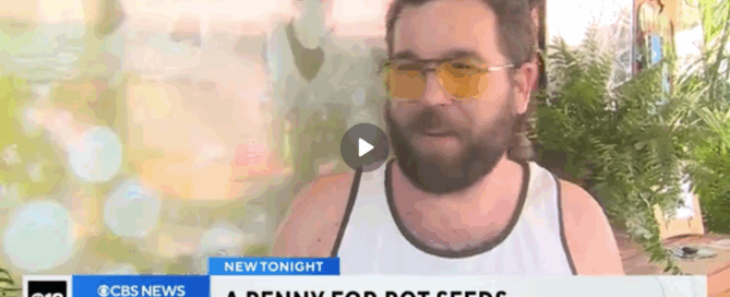 Screenshot from CBS News coverage of Humboldt Seed Company Giveaway at the california state fair