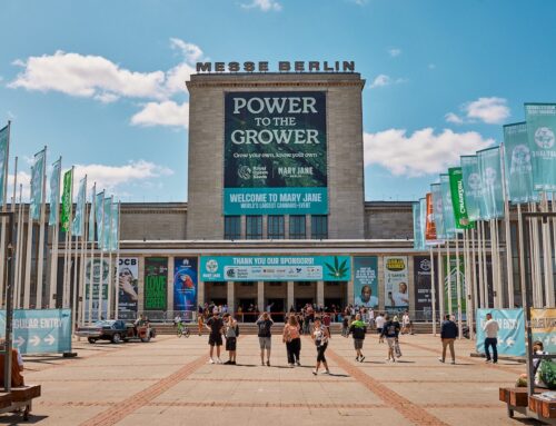 Mary Jane 2025: The Heartbeat of the European Cannabis Scene