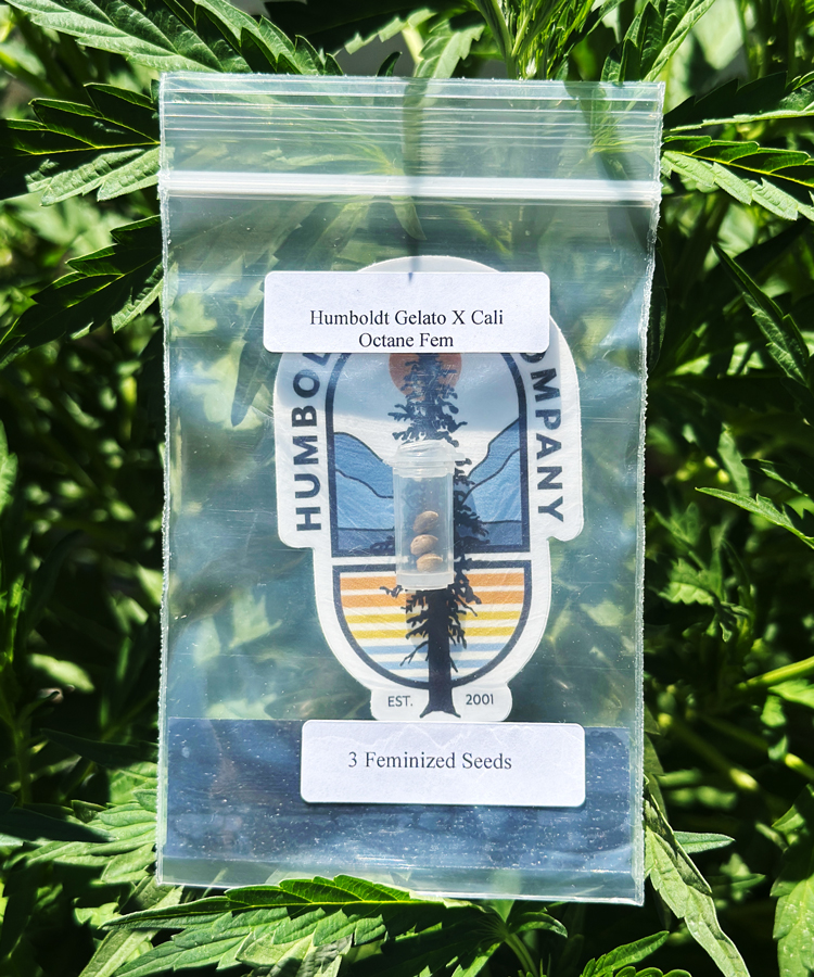 Seed Giveaway Packs