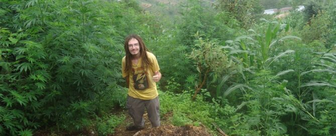 Mark Smith in Himachal Pradesh mountains alongside a large cannabis grow searching for charas