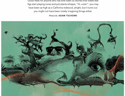 The Talking Trees—Hii Magazine