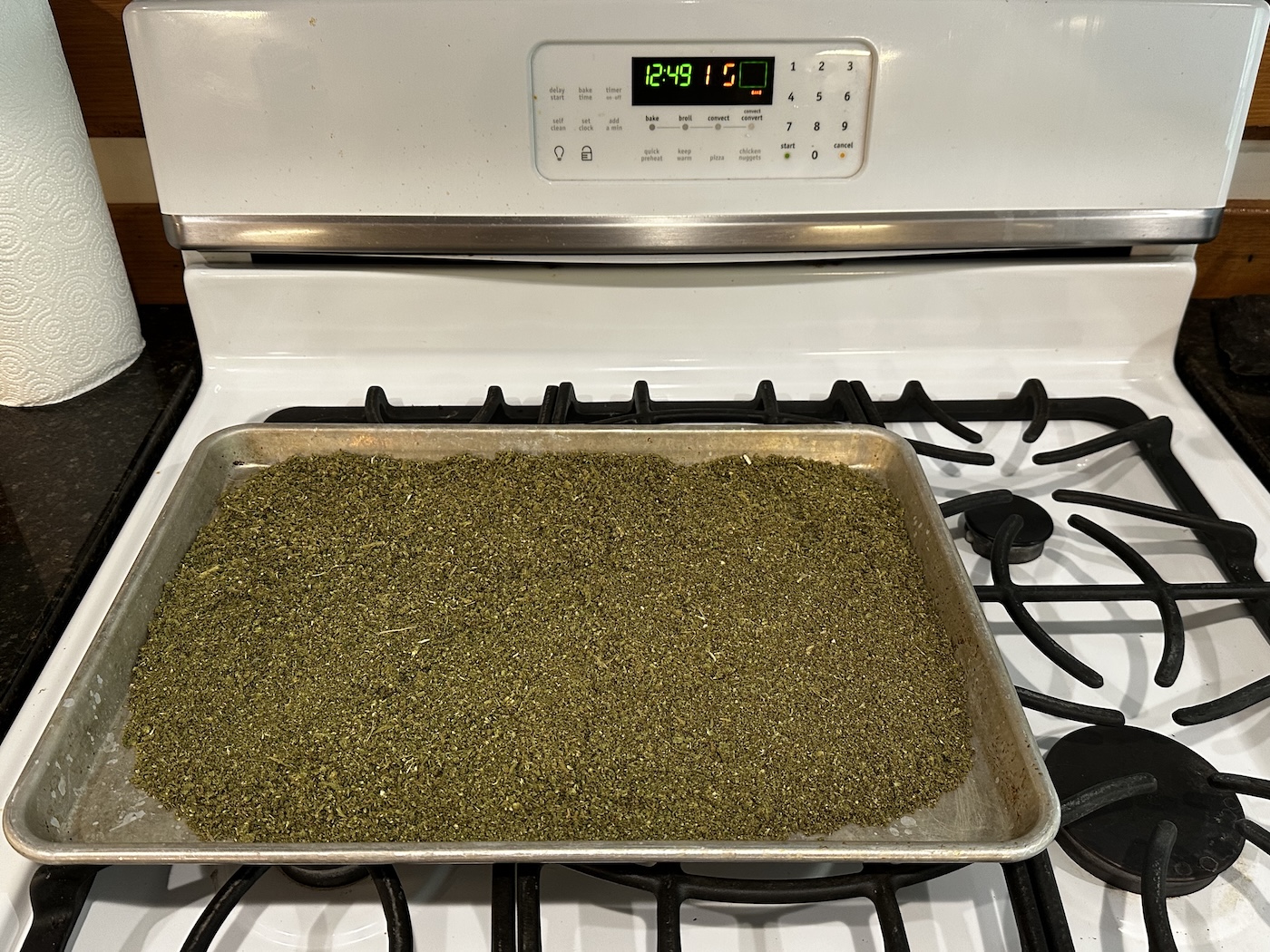 flor de cannabis molida esparcida en una bandeja para hornear para descarnar en el horno