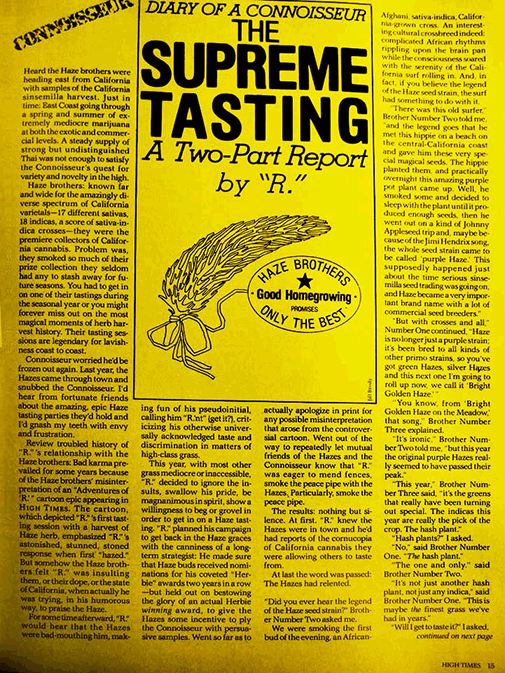 haze brothers high times magazine clipping