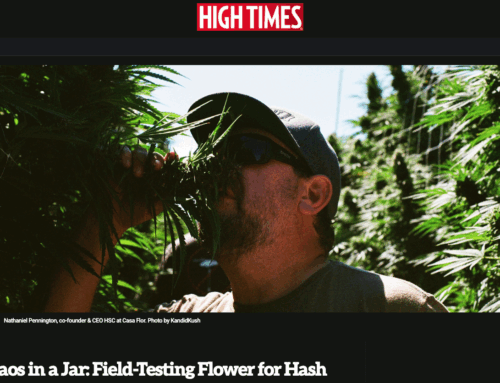 Chaos in a Jar: Field-Testing Flower for Hash — High Times