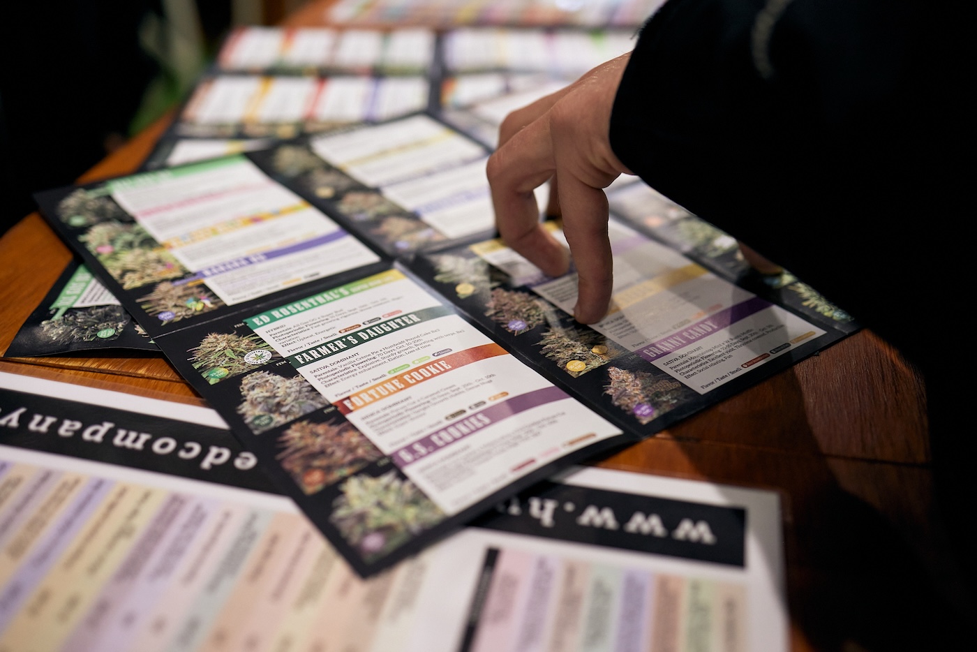 cannabis strain options available in spain by humboldt seed company