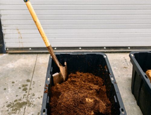 Sustainable Cultivation: Coco Coir and Cannabis