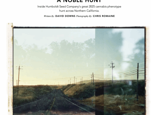 A Noble Hunt — Hii Magazine