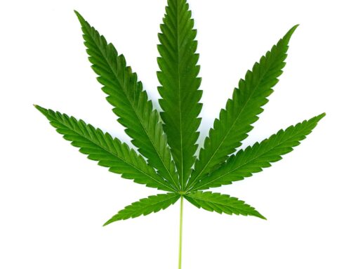 Can CBD Help with Menopause Symptoms? Experts Weigh In