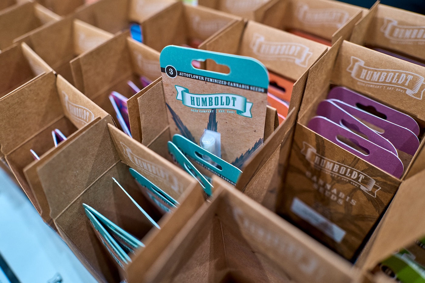humboldt seed company cannabis seed packs