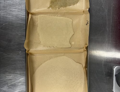 Harvest Timing for Hash: Why Early, On-Time, or Late Matters