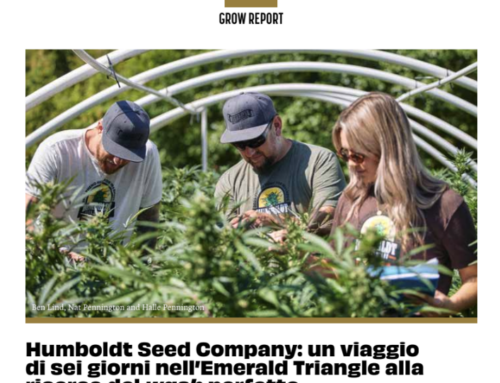 Humboldt Seed Company: a six-day journey through the Emerald Triangle in search of the perfect wash — DolceVita
