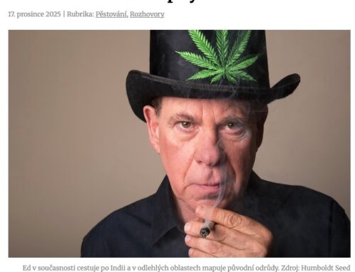 Ed Rosenthal: Cannabis Educator and Activist — Konopi Magazine