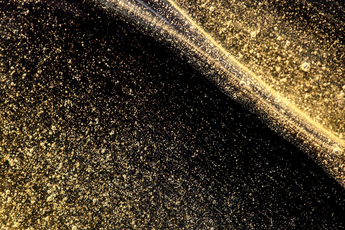 Rosina de cannabis recém-prensada fotografada sob ampliação. 