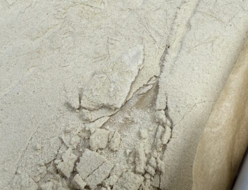 How to Prep Your Grow for Hash Season