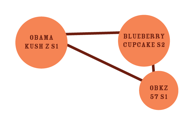 pâte feuilletée génétique parentale