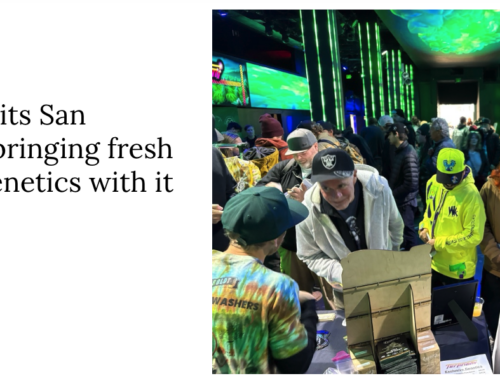 Terpnami hits San Francisco, bringing fresh cannabis genetics with it — GreenState