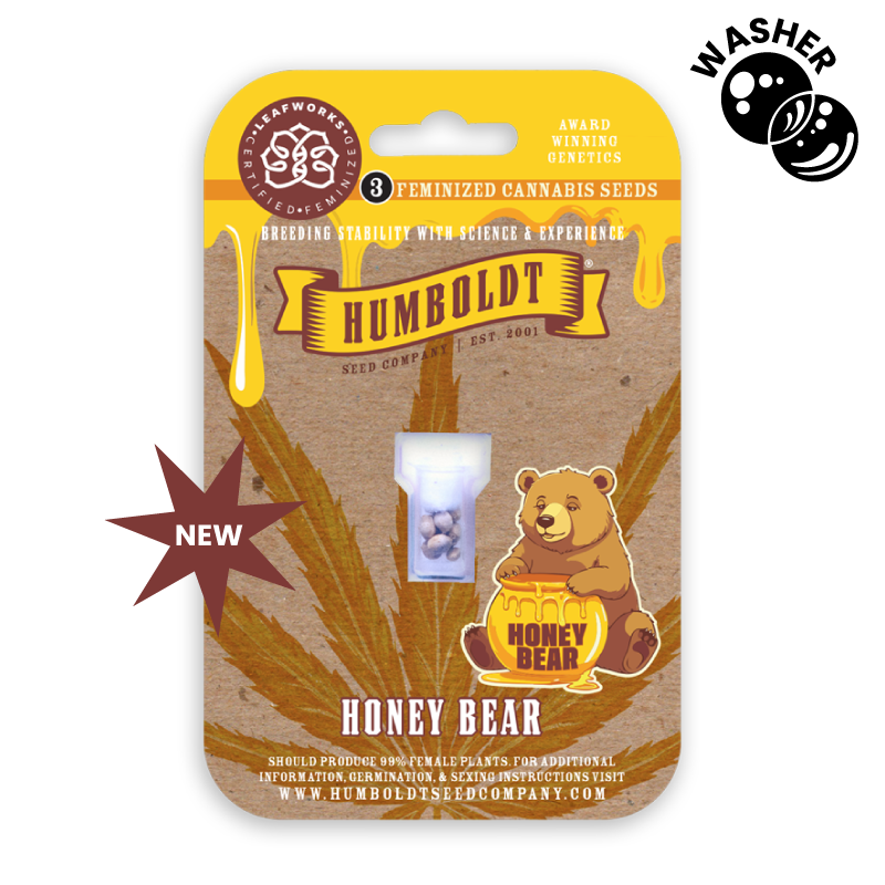 honey bear cannabis seed pack