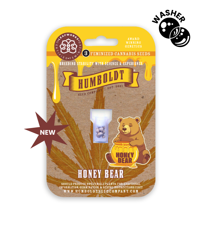 Honey Bear cannabis seed pack