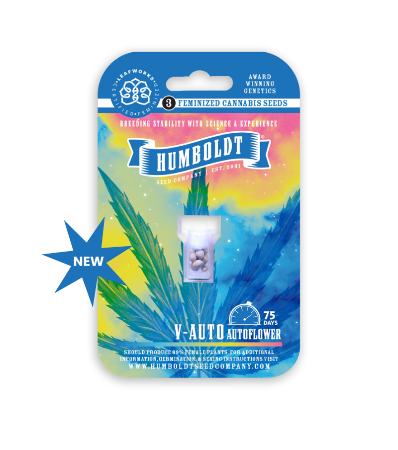 V-Auto cannabis seed pack