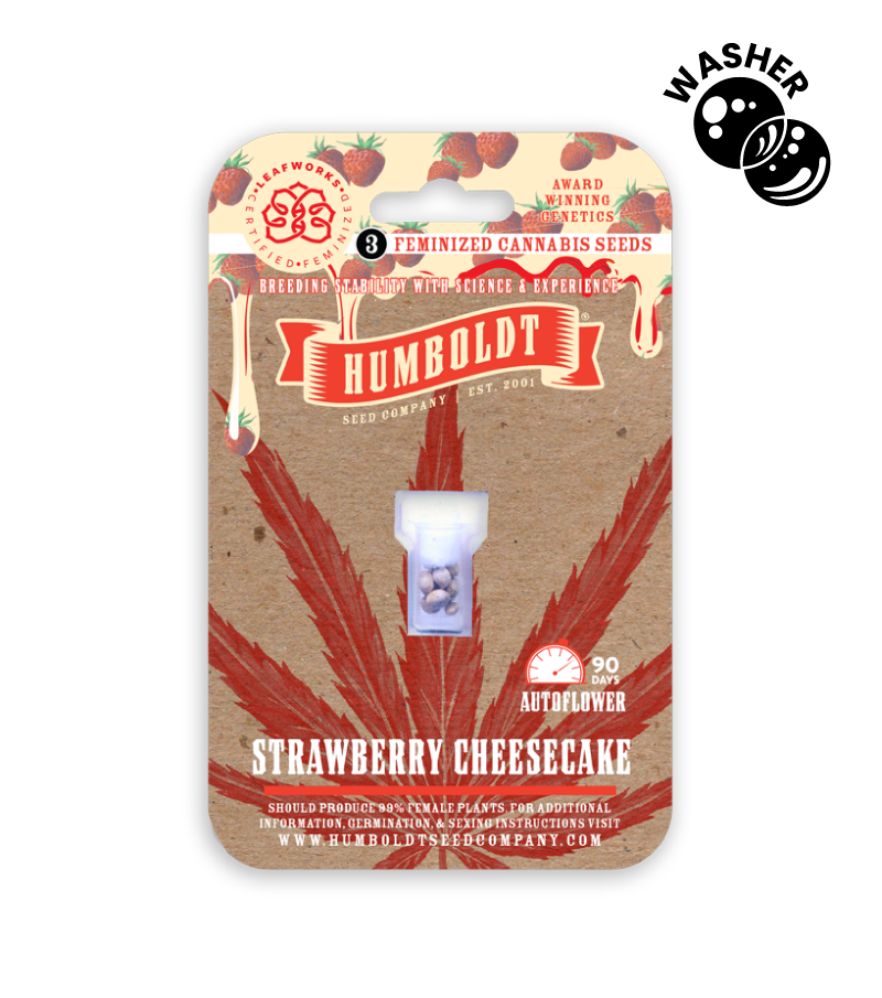 Strawberry Cheesecake Auto Washer