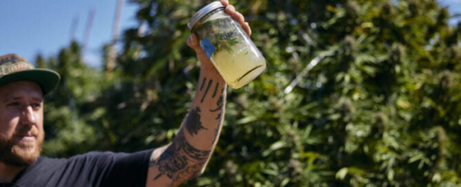 ben lind holding jar of cannabis and ice water for hash test
