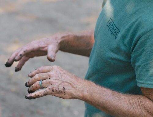 6 Great Cannabis Strains for Inflammation