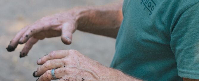 dirty hands with a wedding band, working in the garden with soil; portrait orientation