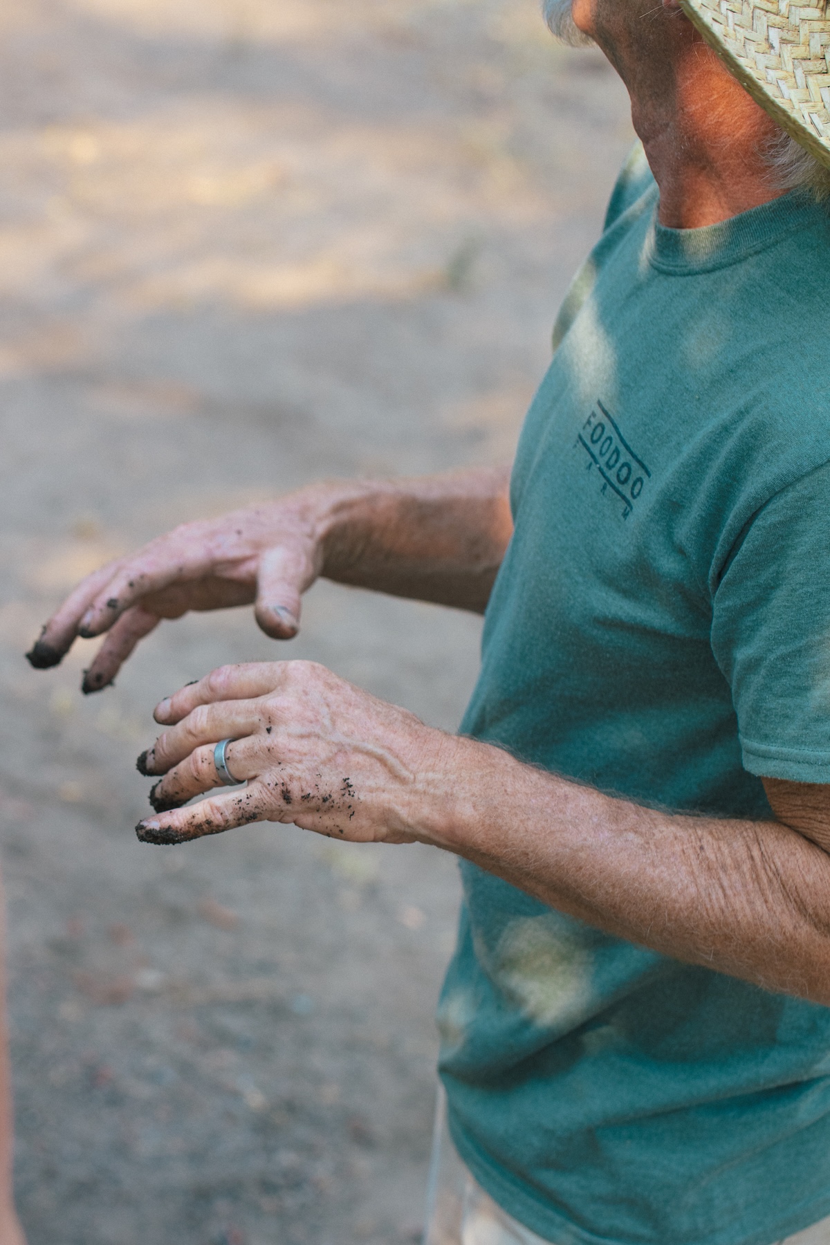 dirty hands with a wedding band, working in the garden with soil; portrait orientation