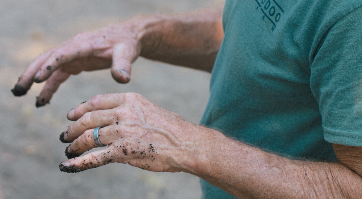 cannabis strains for inflammation manos sucias con un anillo de boda, trabajando en el jardín con tierra