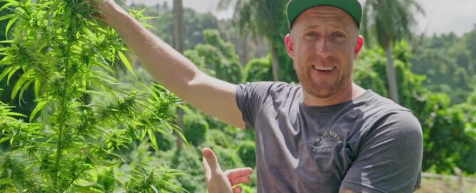 Ben Lind with outdoor cannabis plants Jamaica