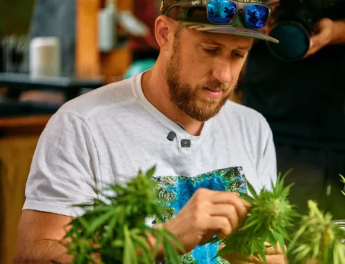 Benjamin Lind: Cannabis was here before us — Konopi Magazine Interview